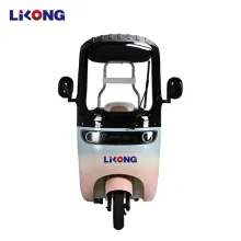 Best High-Power E-Bike Tricycle with Roof for Leisure