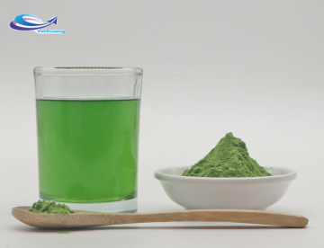 Wholesale Price Bulk Organic Barley Grass Powder