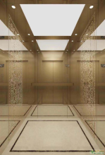 Hotel Passenger Elevator Residential Building Elevations