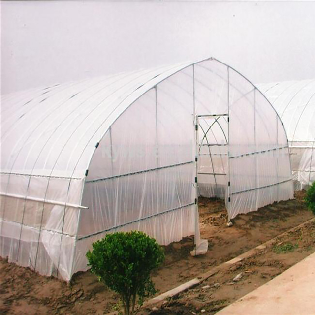 Cheap Single Greenhouse for Medical Planting