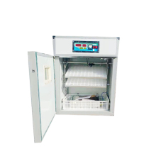 Fully Automatic Poultry Egg Incubator for Chicken, Ostrich, and Quail Eggs