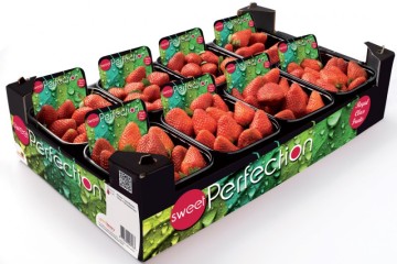 Fruit boxes UV coating boxes strawberry packaging