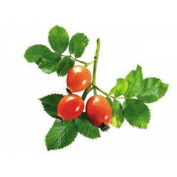 100% pure rosehip oil for skincare