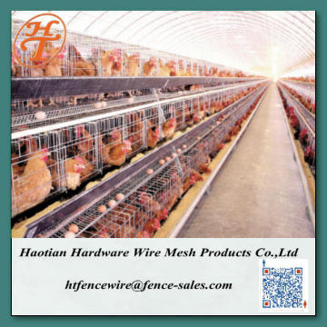 Hot Sale 3/4/5 Tiers chicken cage layer chicken cage