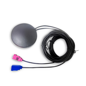 2 in 1 Screw Mount Antenna GPS