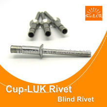 Stainless Steel Cup-type Rivet/Waterproof Structrual rivets