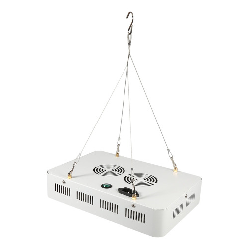 Nhà máy Bán buôn Nhà máy mới LED Grow Light