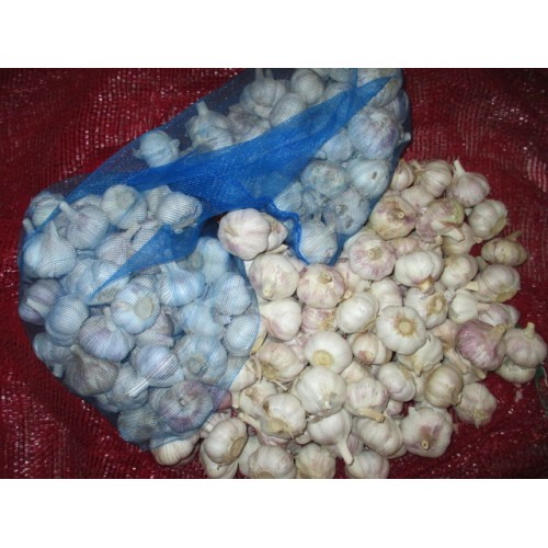 2020 Cold Storage Normal White Garlic