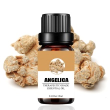 High quality100% pure and Angelica root oil