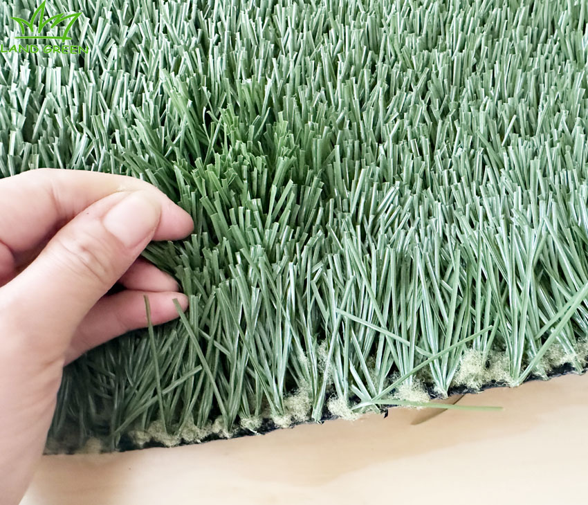 nome padrão default name