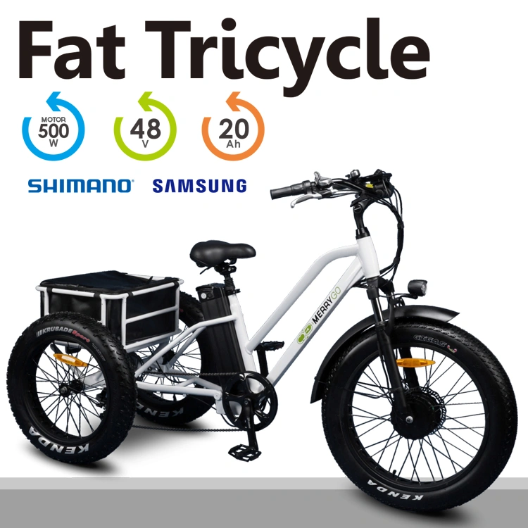 Aluminum Alloy Frame Electric Tricycle