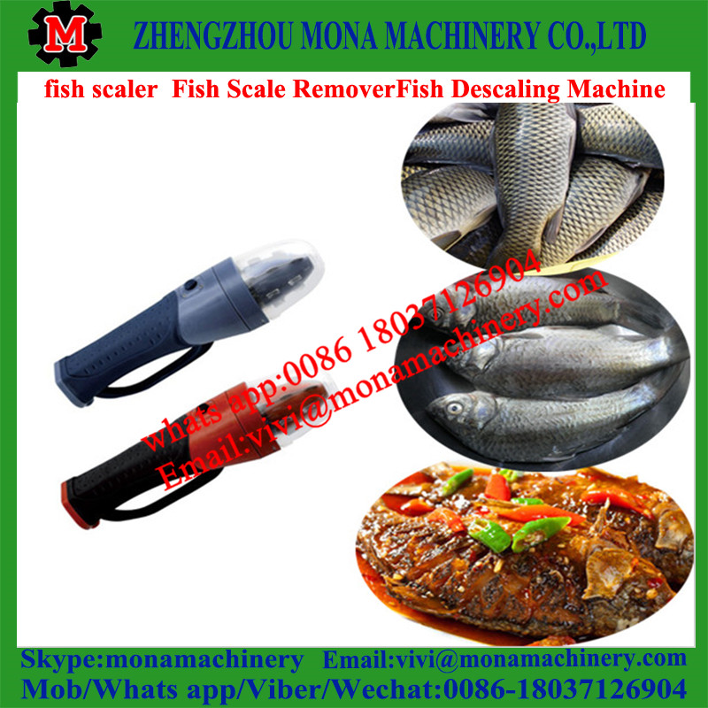 fish scale peeling machine/fish scale peeler