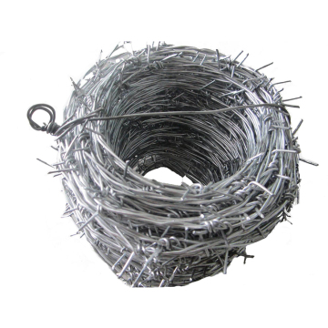 Factory Direct Galvanized Barbed Wire in Malaysia - Thorn Rope & Razor Barbed Wire