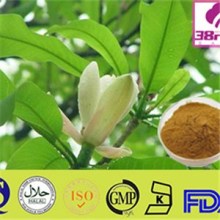 Corydalis Tuber Extract