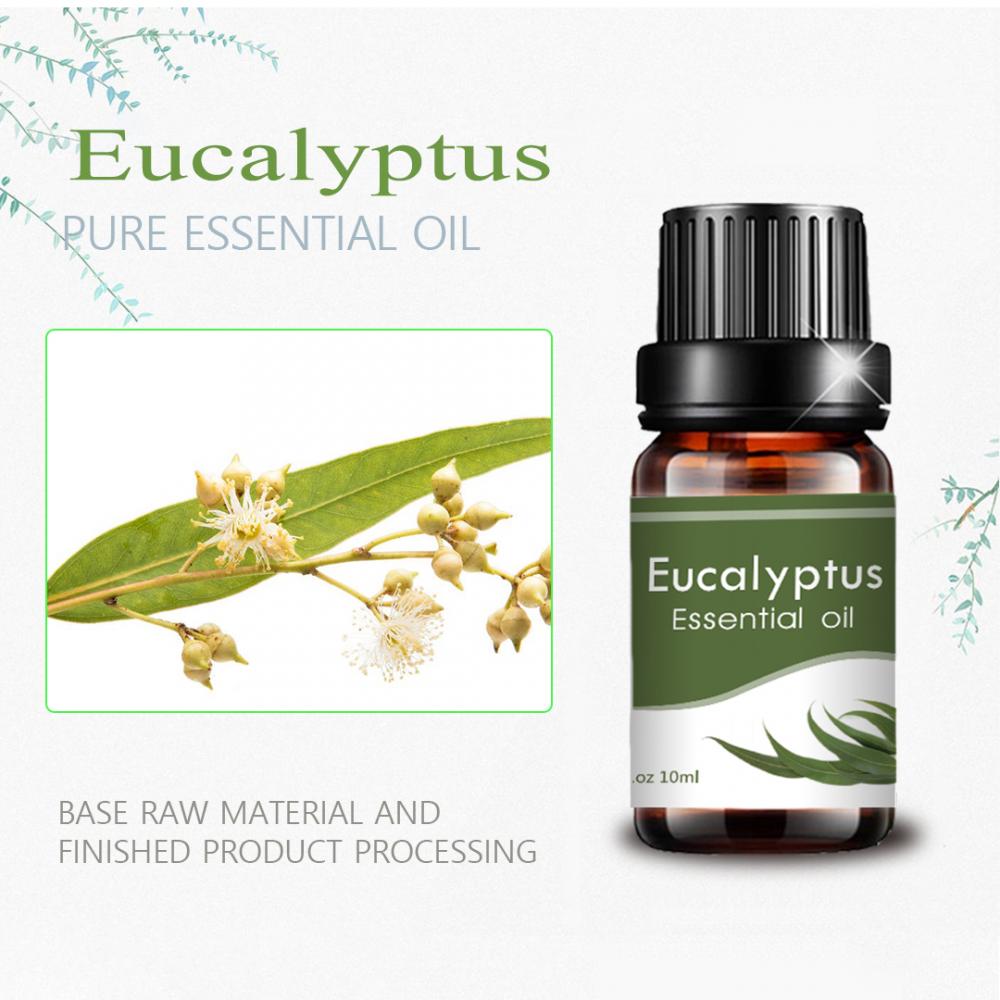 Lebo ya kibinafsi Eucalyptus Mafuta muhimu ya matumizi ya nywele nyingi