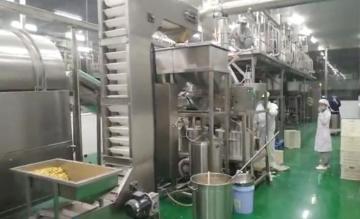 Automatic Coated Macadamia Equipment