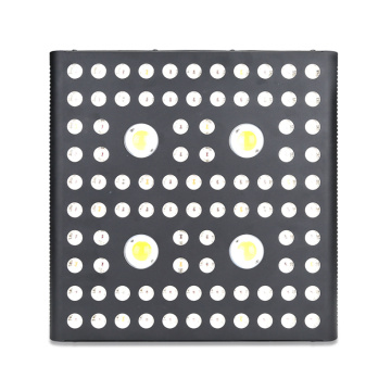 Double Channel Spider COB LED-örter växer ljus