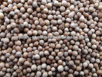 Quality Dried Coriander Seeds