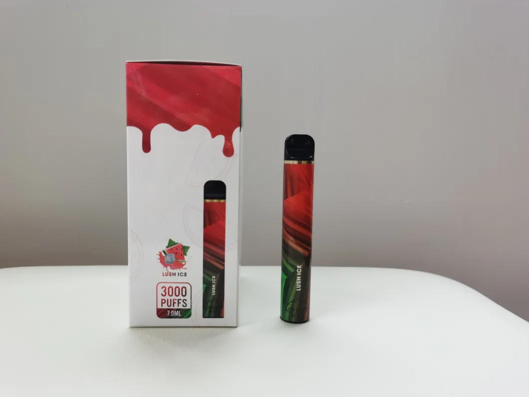 Us Australia Russia Hot Sell 3000 Puffs Disposable Vape Pen with 5% Nic Salt