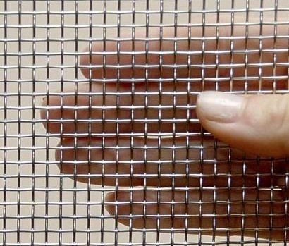 Well Galvanized Crimped Wire Mesh (TYE-18) Factory Price