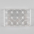 12 Well Tissue Culture Plate