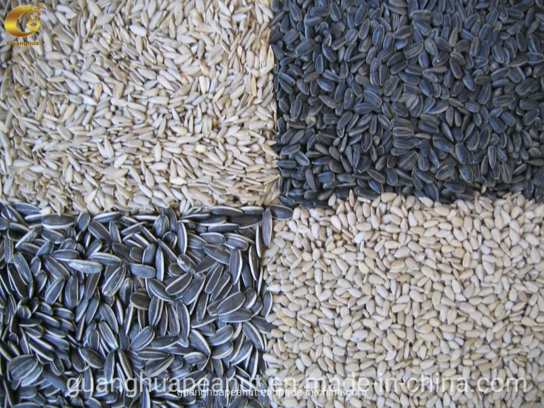 Hot Sales 2021 Sunflower Seeds Kernels