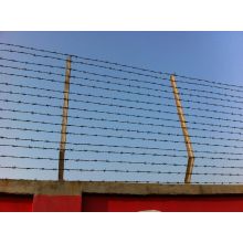 High Quality Double Twisted Barbed Wire