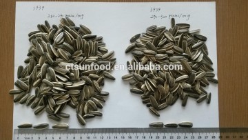 Sunflower seeds for human consumption