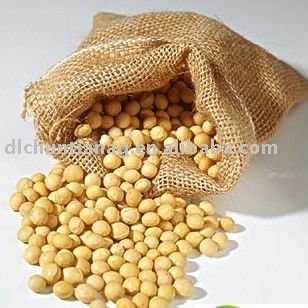 organic soybean/soya bean