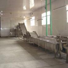 Vegetables/Fruits Quick Frozen Processing Line, Energy-saving and Optimal Processing Flows