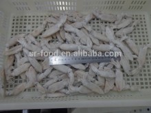 New frozen baby squid IQF or BQF