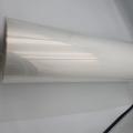 Thermoformed transparent PP rigid film