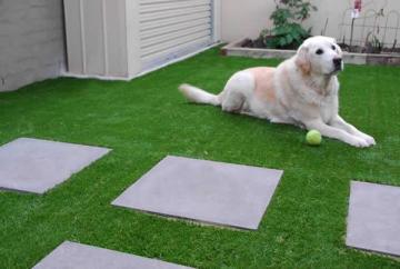 friendly dog mats pet grass mats