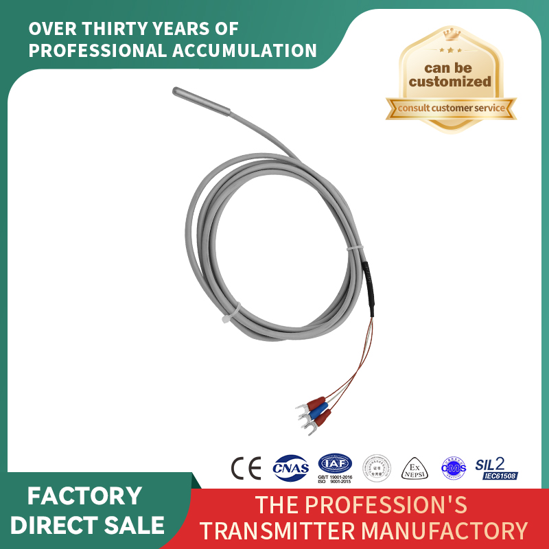 Senzor de temperatură cu rezistență termică