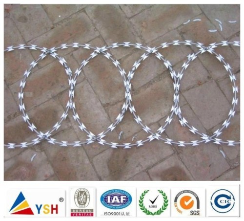 Hot Dip galvanized Razor barbed wire on sale