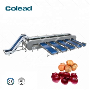 Automatic vegetable grading sorting machine