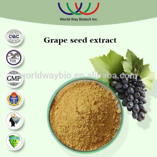 Grape seed extract free sample China factory natural anti-oxidant dietary supplement grape seed extract (proanthocyanidins 95%)