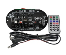 Mono Subwoofer Amplifier Board with Dual Microphone for K Song, 30-150W, Compatible with 6-10 Inch Speakers, 220V 12V 24V