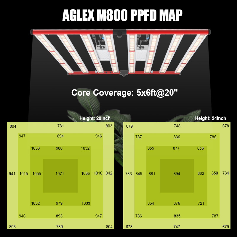 Aglex 240W 320W 400W 650W 800 Вт 1000 Вт растения Полный спектр светодиоды выращивать светло -голубые красные светильники