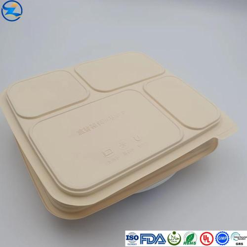 Biodegradable PLA Container for Food