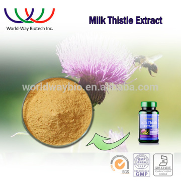 Silymarin free sample HACCP FDA Kosher China supplier 80% silymarin pharmaceutical grade milk thistle extract