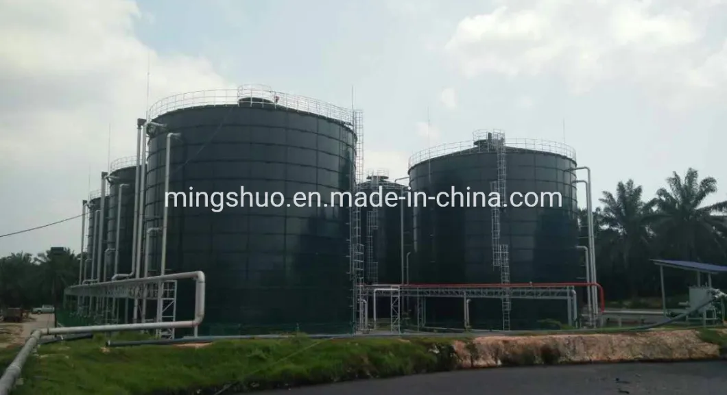 Wastewater Treatment Sludge Plant Anaerobic Digester Tank