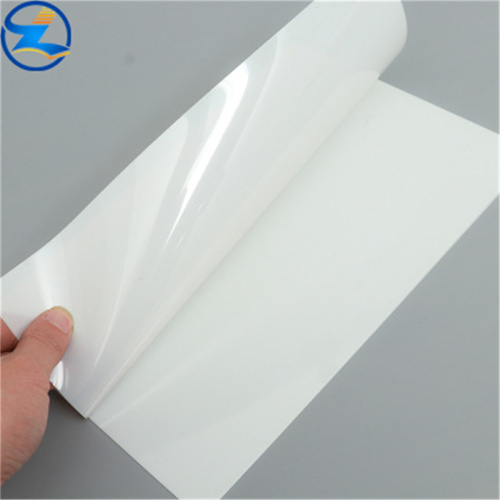 Rigid PP Film Sheet Rolls for food packaging