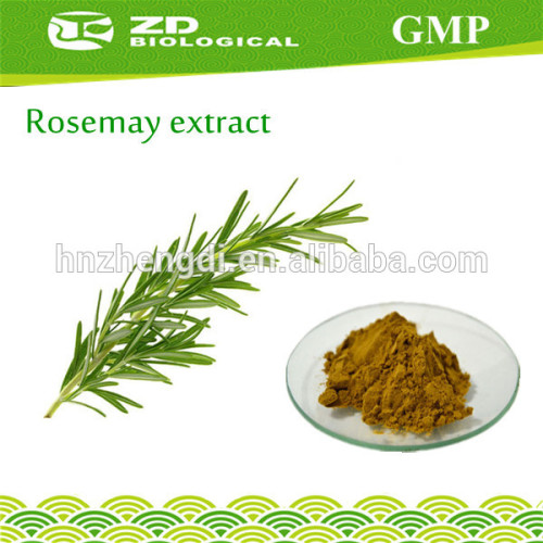 Preservatives in herbal medicines Herbal Extract Dried Rosemary Leaves 20% Ursolic Acid