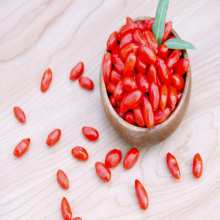 ăn uống lành mạnh hữu cơ Goji Berry