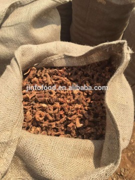 Hot sale China galangal