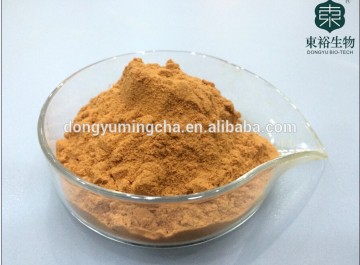 Manufacturer Sales decaffeinated Green Tea Extract Powder for green tea diet tablets