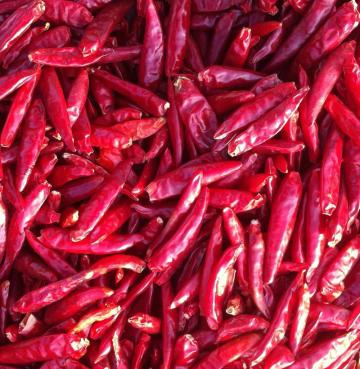 Dried Chili