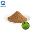 Green Tea Extract Polyphenol 98% EGCG 40% Catechins