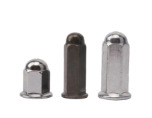 Hexagonal Flange Cap Nut